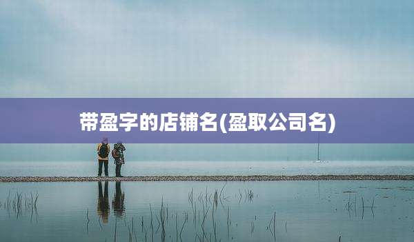 带盈字的店铺名(盈取公司名)