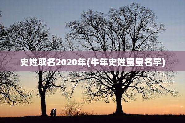史姓取名2020年(牛年史姓宝宝名字)