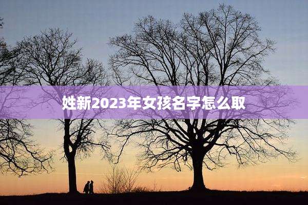 姓新2023年女孩名字怎么取
