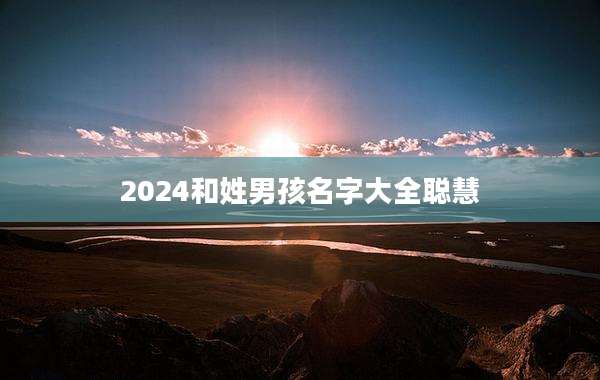 2024和姓男孩名字大全聪慧