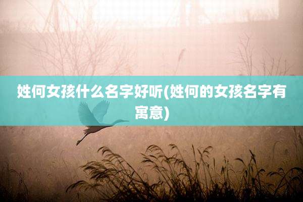 姓何女孩什么名字好听(姓何的女孩名字有寓意)