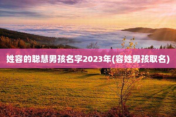 姓容的聪慧男孩名字2023年(容姓男孩取名)