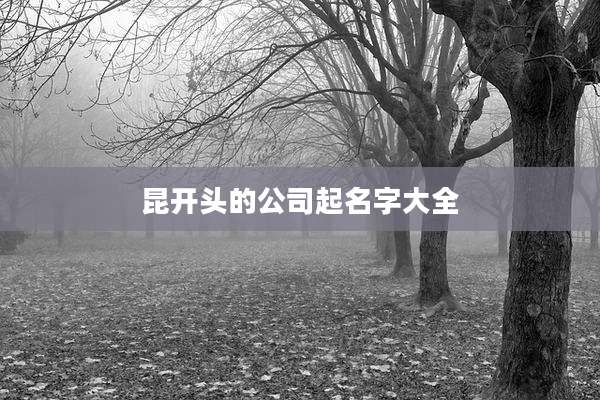 昆开头的公司起名字大全