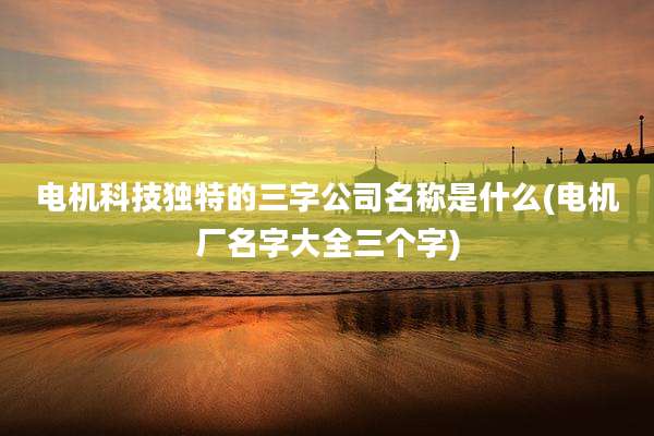 电机科技独特的三字公司名称是什么(电机厂名字大全三个字)