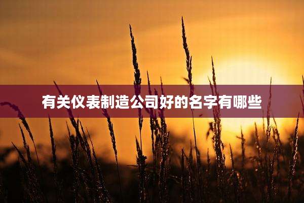 有关仪表制造公司好的名字有哪些