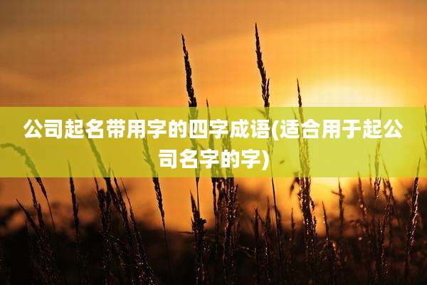 公司起名带用字的四字成语(适合用于起公司名字的字)