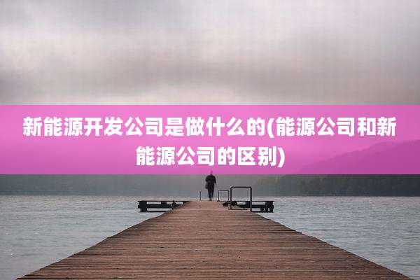 新能源开发公司是做什么的(能源公司和新能源公司的区别)