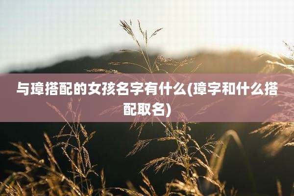与璋搭配的女孩名字有什么(璋字和什么搭配取名)