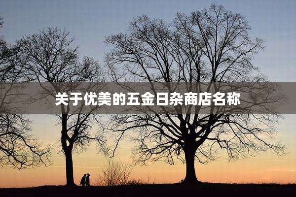 关于优美的五金日杂商店名称