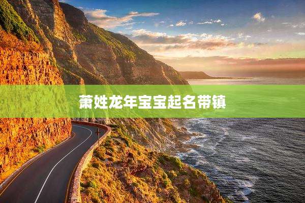 萧姓龙年宝宝起名带镇