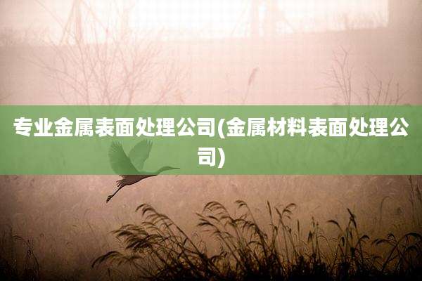 专业金属表面处理公司(金属材料表面处理公司)
