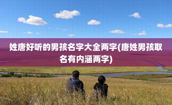 姓唐好听的男孩名字大全两字(唐姓男孩取名有内涵两字)