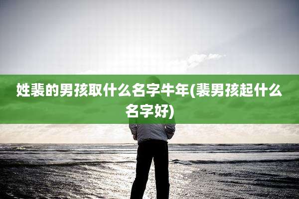 姓裴的男孩取什么名字牛年(裴男孩起什么名字好)