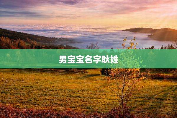 男宝宝名字耿姓