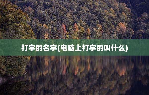 打字的名字(电脑上打字的叫什么)