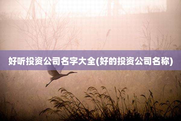 好听投资公司名字大全(好的投资公司名称)