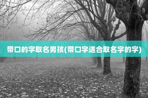 带口的字取名男孩(带口字适合取名字的字)