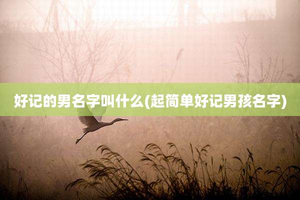 好记的男名字叫什么(起简单好记男孩名字)