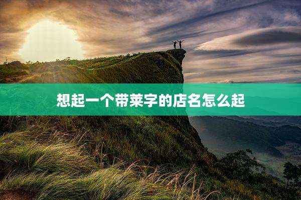 想起一个带莱字的店名怎么起