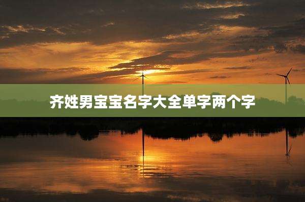 齐姓男宝宝名字大全单字两个字