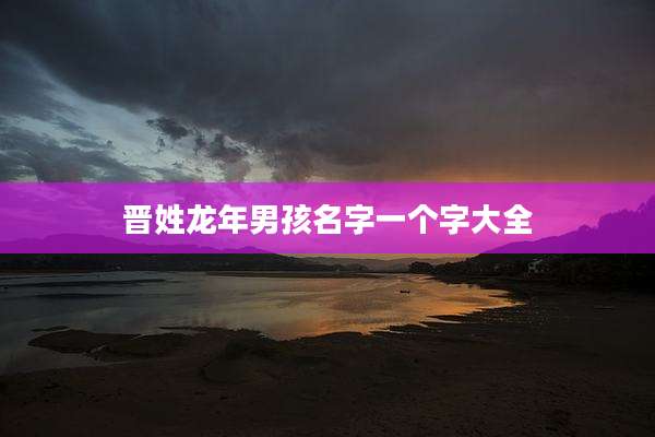 晋姓龙年男孩名字一个字大全