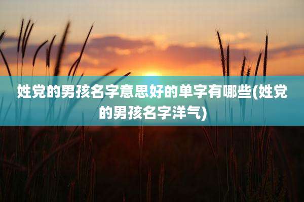 姓党的男孩名字意思好的单字有哪些(姓党的男孩名字洋气)