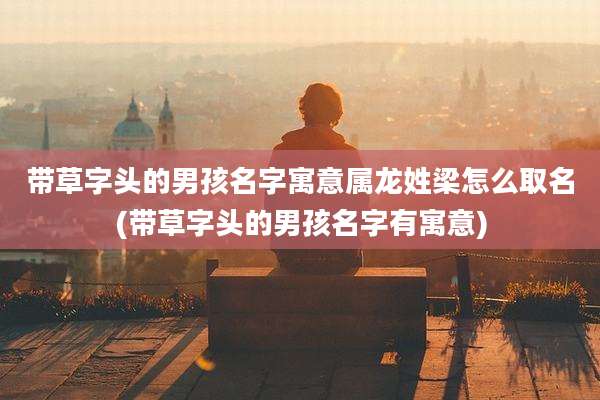 带草字头的男孩名字寓意属龙姓梁怎么取名(带草字头的男孩名字有寓意)