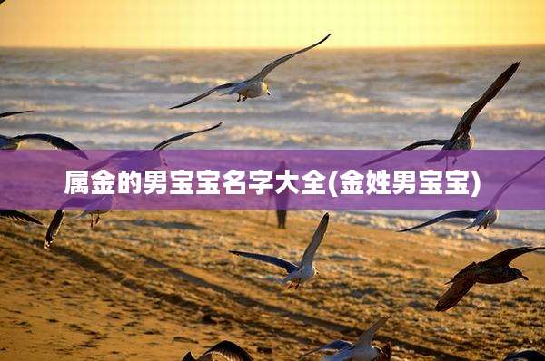 属金的男宝宝名字大全(金姓男宝宝)
