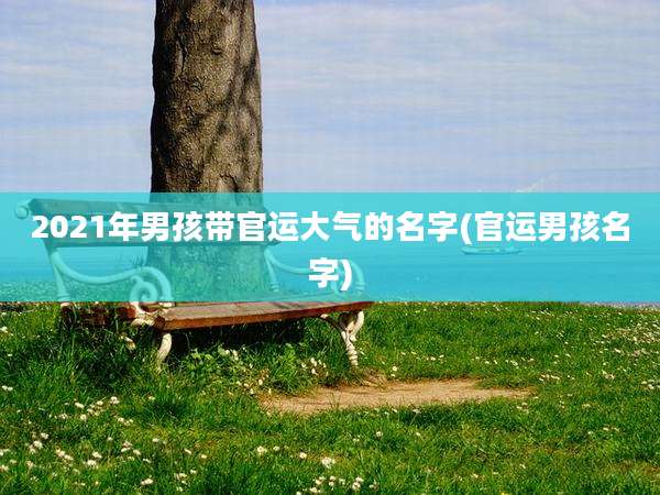 2021年男孩带官运大气的名字(官运男孩名字)