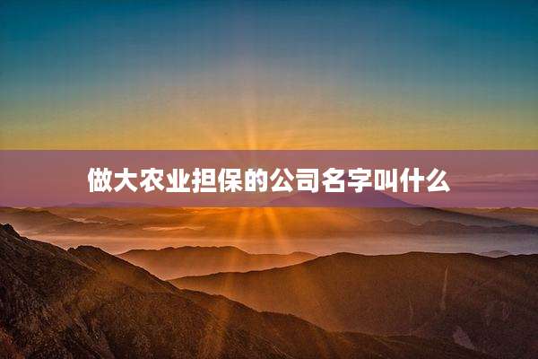 做大农业担保的公司名字叫什么