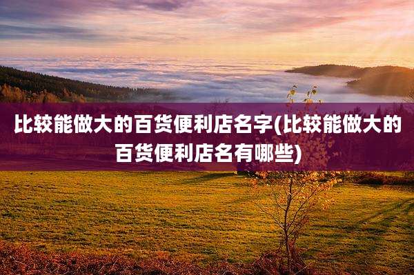 比较能做大的百货便利店名字(比较能做大的百货便利店名有哪些)