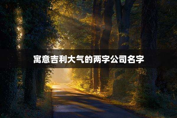 寓意吉利大气的两字公司名字