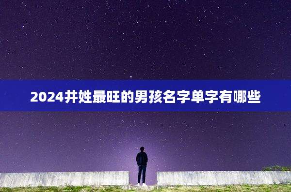 2024井姓最旺的男孩名字单字有哪些