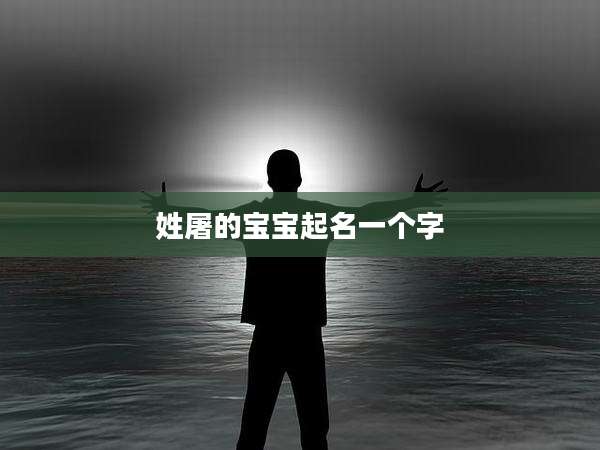 姓屠的宝宝起名一个字