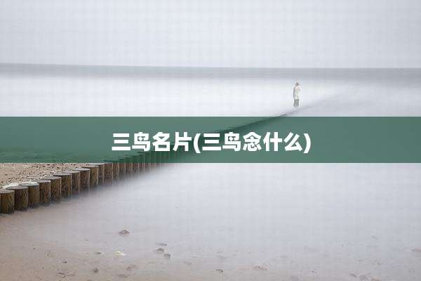 三鸟名片(三鸟念什么)