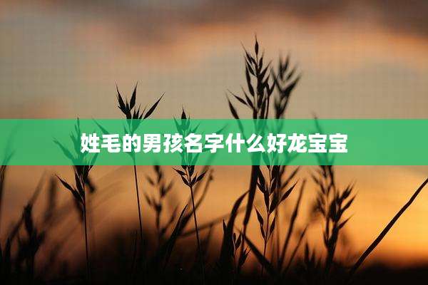 姓毛的男孩名字什么好龙宝宝