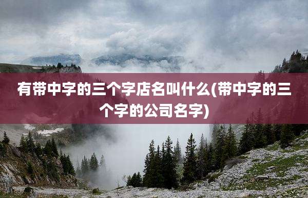 有带中字的三个字店名叫什么(带中字的三个字的公司名字)