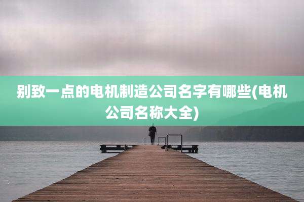 别致一点的电机制造公司名字有哪些(电机公司名称大全)