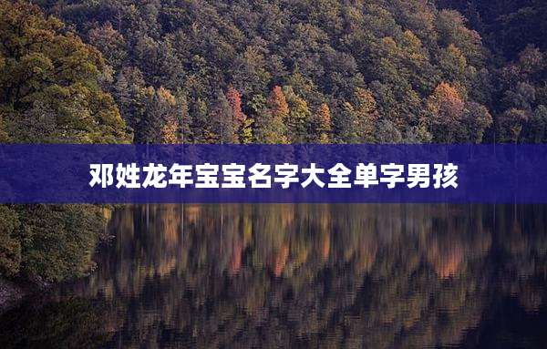 邓姓龙年宝宝名字大全单字男孩