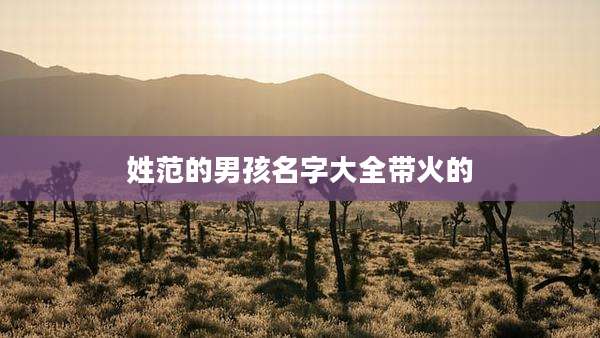 姓范的男孩名字大全带火的