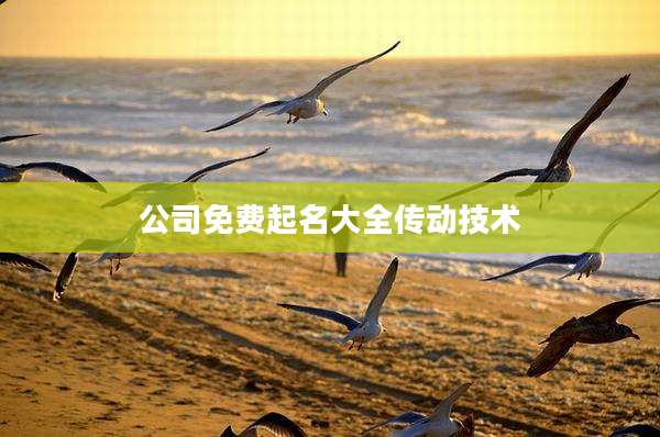 公司免费起名大全传动技术