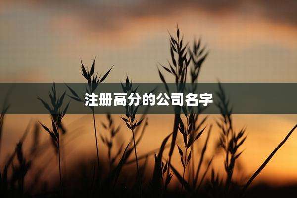 注册高分的公司名字