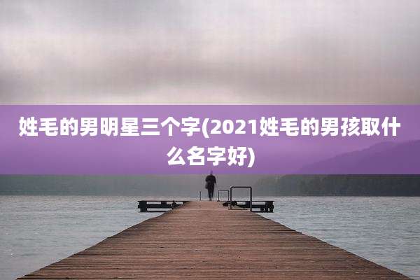 姓毛的男明星三个字(2021姓毛的男孩取什么名字好)