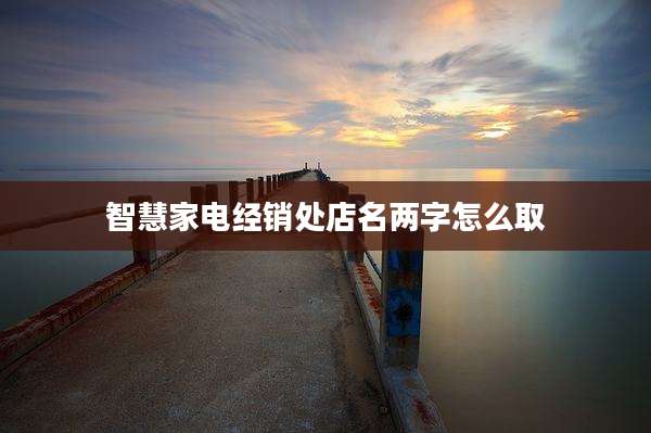 智慧家电经销处店名两字怎么取