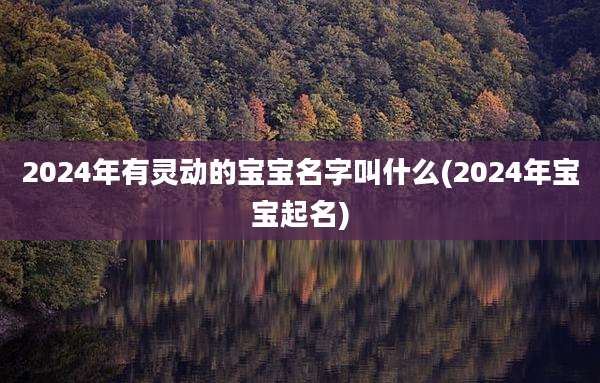2024年有灵动的宝宝名字叫什么(2024年宝宝起名)