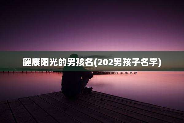 健康阳光的男孩名(202男孩子名字)