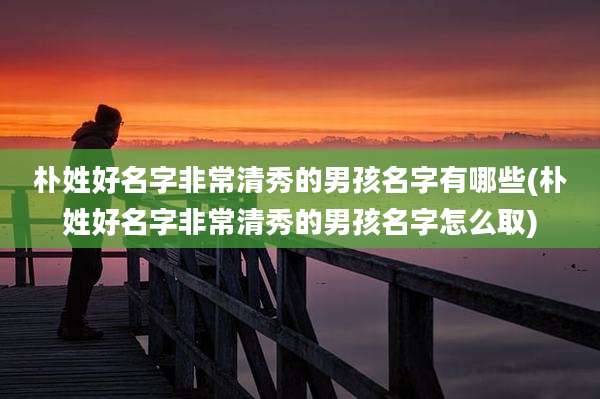 朴姓好名字非常清秀的男孩名字有哪些(朴姓好名字非常清秀的男孩名字怎么取)