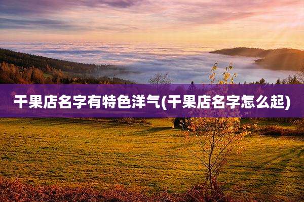 干果店名字有特色洋气(干果店名字怎么起)