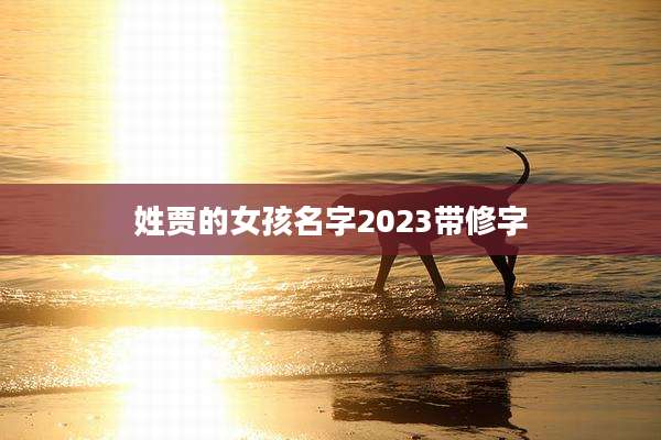 姓贾的女孩名字2023带修字