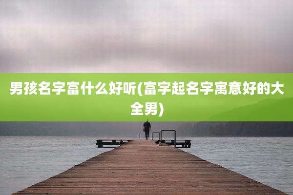 男孩名字富什么好听(富字起名字寓意好的大全男)